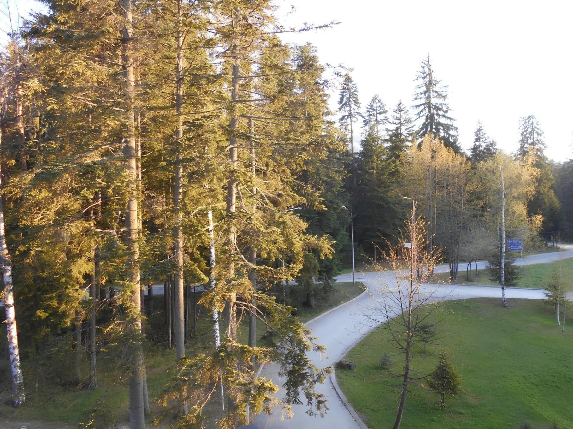 Neat Studios In "Borovets Gardens" Hotel Bagian luar foto